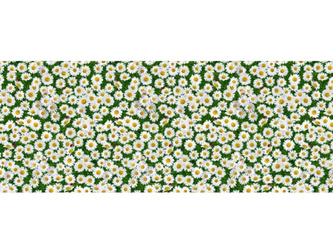 CERATA 140 FLORISTA 01765-00