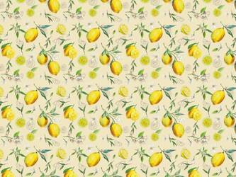 CERATA 140 FANTASTIK C-96-1