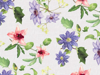 CERATA 140 CLASSICO WF-6868A