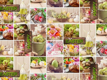 CERATA 140 EVOLUTION WL WF-2008