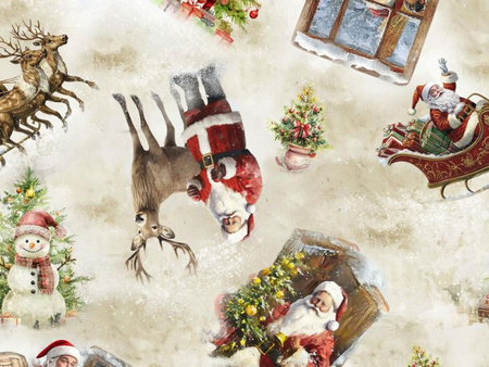 CERATA 140 MIRELLA BN 222/B