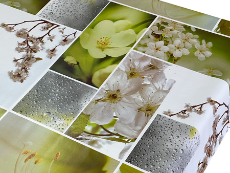 CERATA 140 CLASSICO AS-303