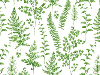 CERATA 140 CLASSICO M-6708-1