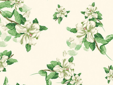 CERATA 140 CLASSICO WF-5411A