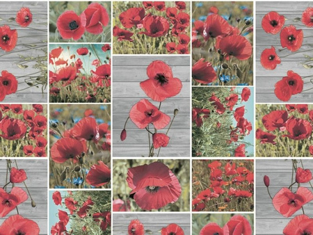 CERATA 140 CLASSICO WF-5577A