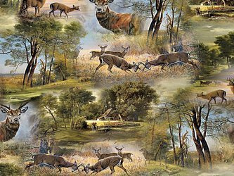 CERATA 140 FANTASTIK 739-1