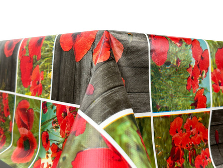 CERATA 140 CLASSICO WF-5577A