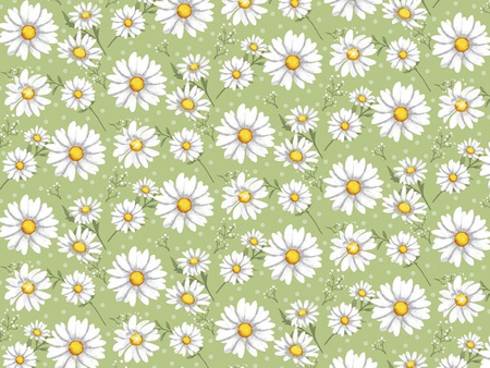 CERATA 140 FANTASTIK 1257-1