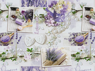 CERATA 140 MIRELLA 173/A