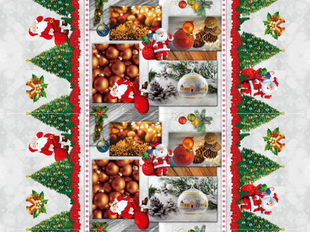 CERATA 140 EVOLUTION BN 81507-2