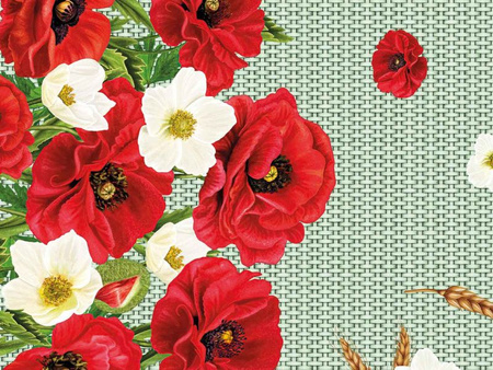 CERATA 140 MIRELLA 149/B