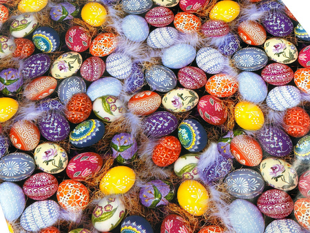 CERATA 140 FLORISTA WL 01726-00