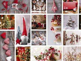 CERATA 140 FLORISTA BN 06150-00