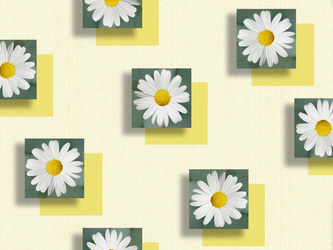 CERATA 140 FLORISTA 01762-03