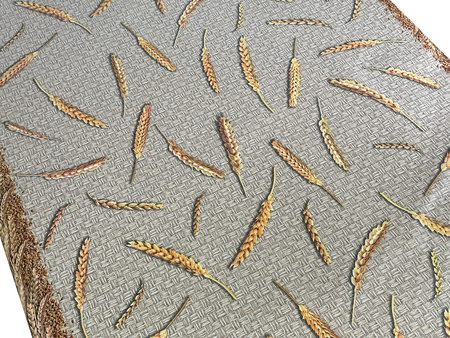 CERATA 140 EVOLUTION M-81024A