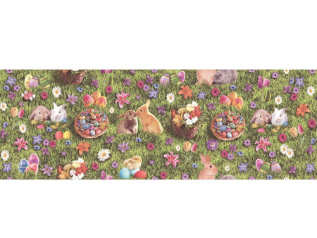 CERATA 140 EVOLUTION R WL WF-4273B