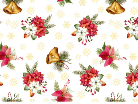 CERATA 140 EVOLUTION BN M-81268B