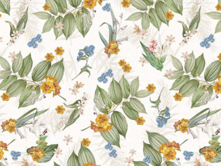 CERATA 140 CLASSICO WF-6801A