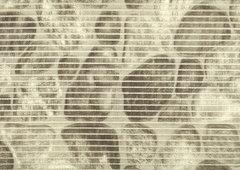 WYKŁADZINA PODŁ.-ŁAZ. 65 V23004A