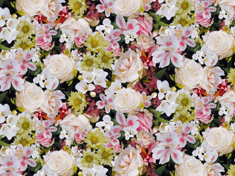 CERATA 140 FLORISTA 01753-00