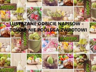 CERATA 140 EVOLUTION WL WF-2008