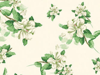 CERATA 140 CLASSICO WF-5411A