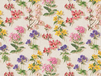 CERATA 140 CLASSICO WF-6864C