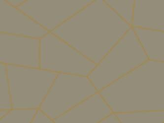 CERATA 140 FANTASTIK 1213-3